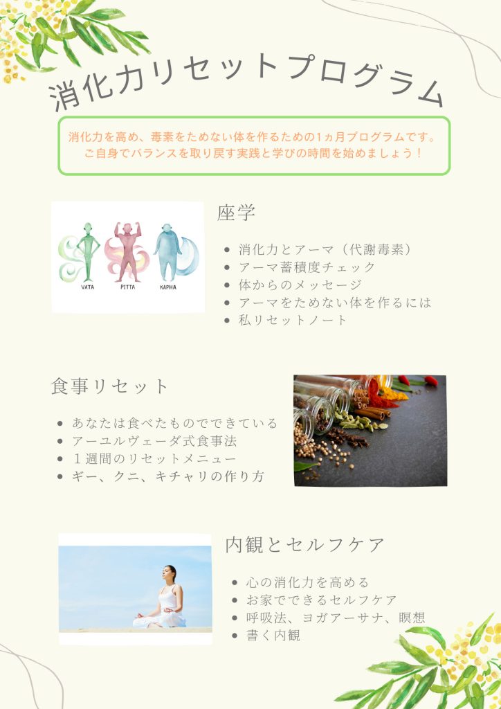 消化力リセットプログラム